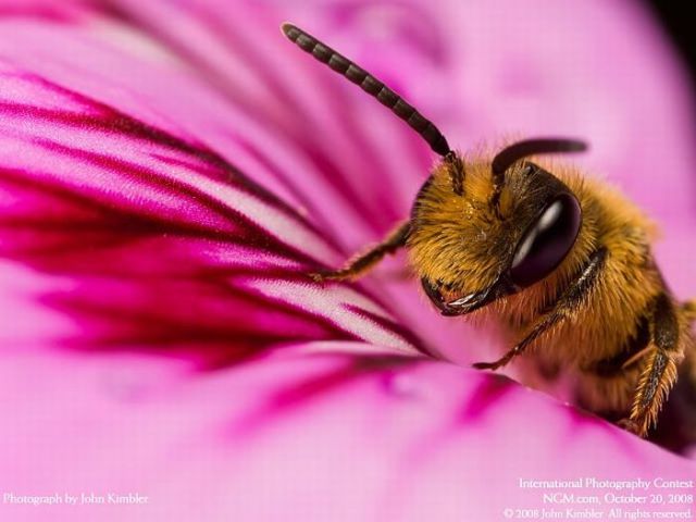 Brilliant Pictures (90 pics) Brilliant Pictures (90 pics)