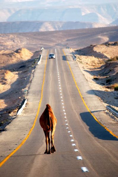 Brilliant Pictures (90 pics) Brilliant Pictures (90 pics)