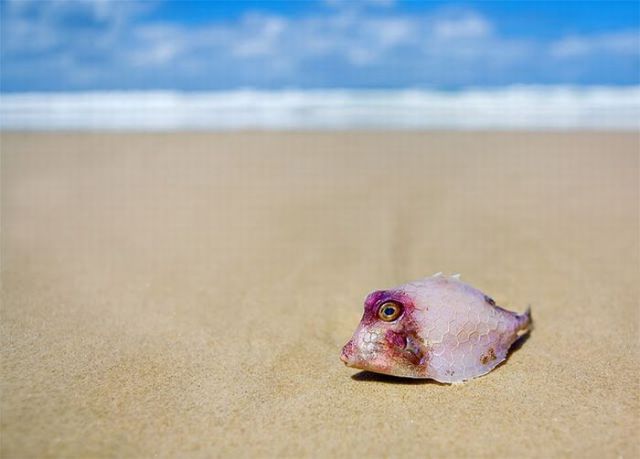 Brilliant Pictures (90 pics) Brilliant Pictures (90 pics)