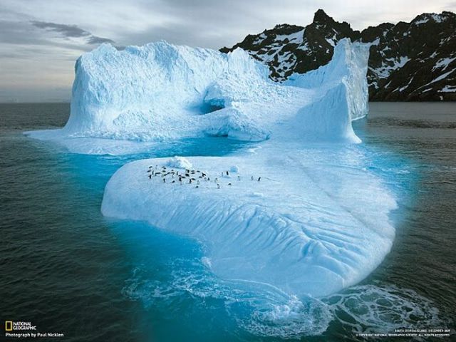 Brilliant Pictures (90 pics) Brilliant Pictures (90 pics)