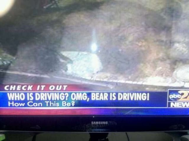 Daily picdump (132 pics)
