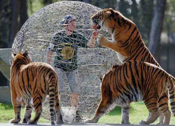 Daily picdump (132 pics)