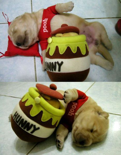 Daily picdump (132 pics)