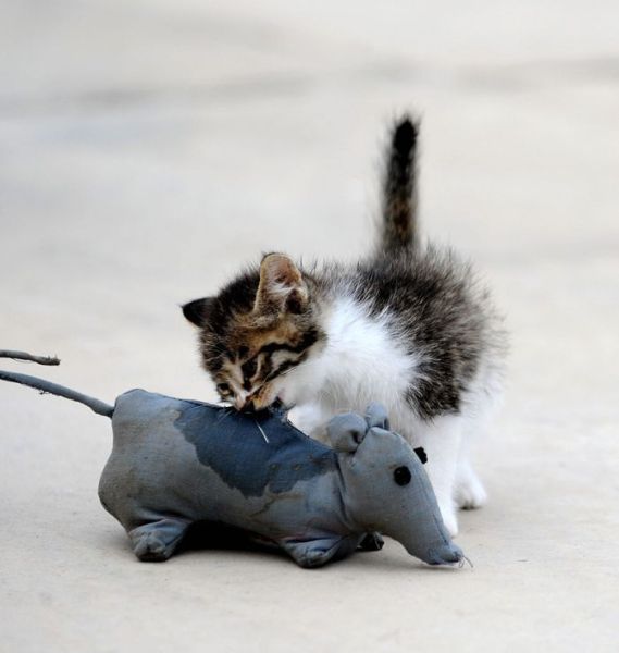 Daily picdump (132 pics)