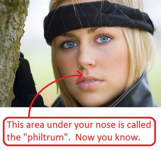 Daily picdump (132 pics)