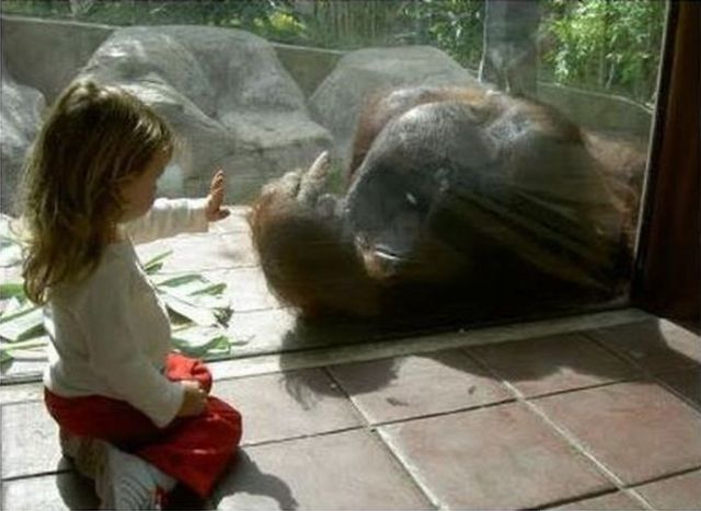 Daily picdump (132 pics)