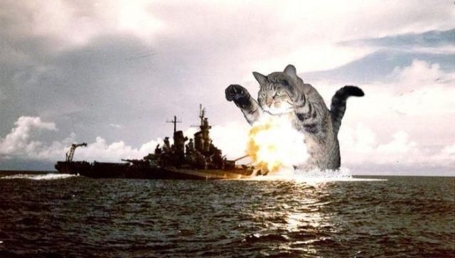 Daily picdump (132 pics)