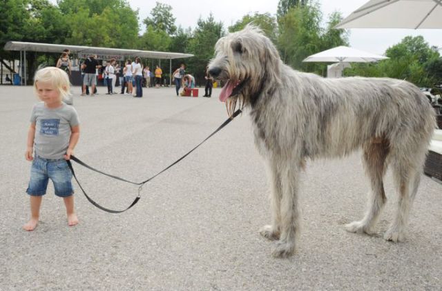 Daily picdump (132 pics)