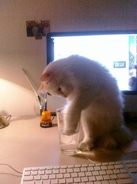 Daily picdump (132 pics)