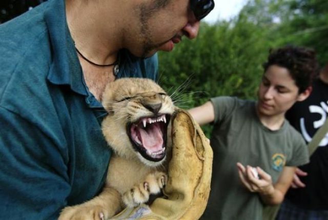 Daily picdump (132 pics)