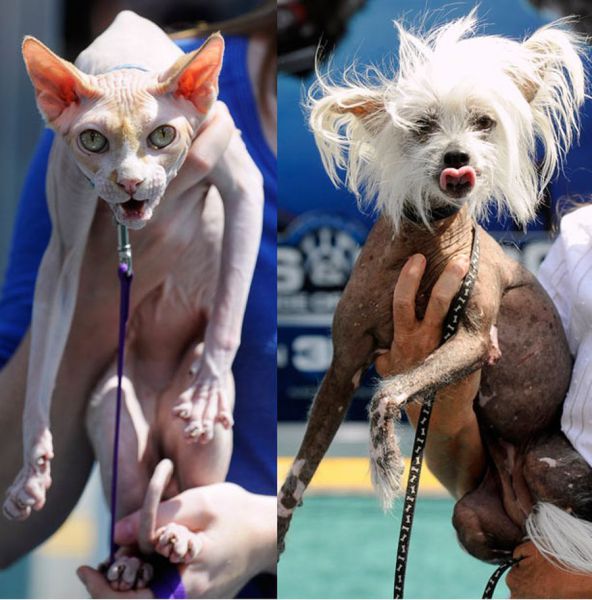 Daily picdump (132 pics)