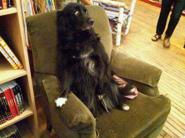 Daily picdump (135 pics)