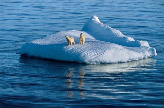 Daily picdump (135 pics)