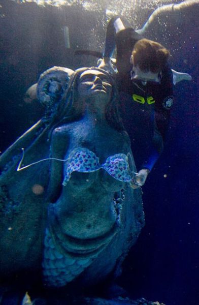 Daily picdump (135 pics)