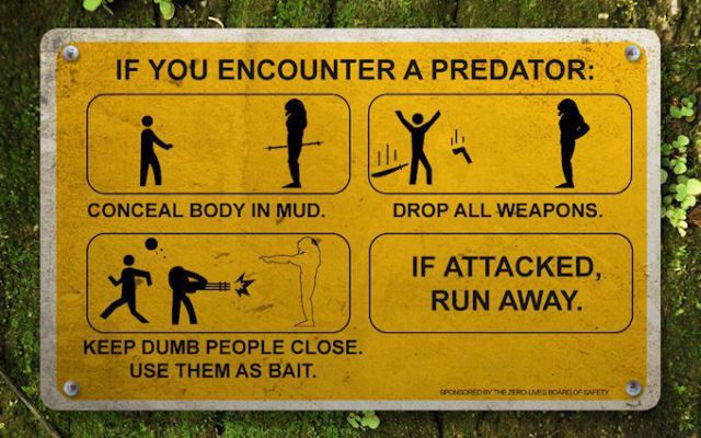 Daily picdump (135 pics)