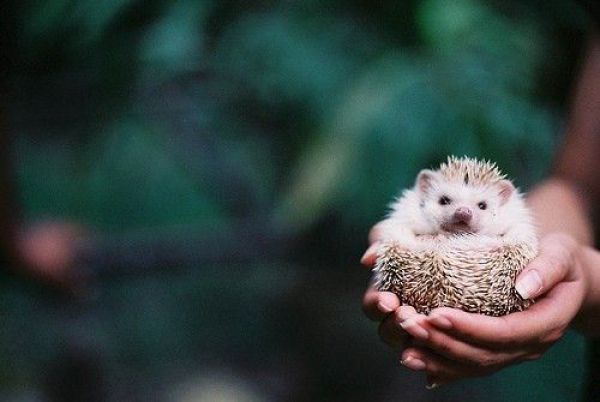 Daily picdump (135 pics)