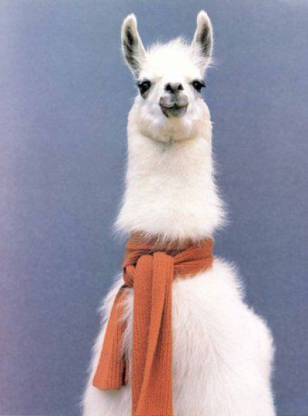 Daily picdump (135 pics)