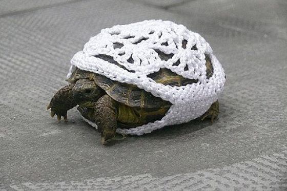 Daily picdump (135 pics)