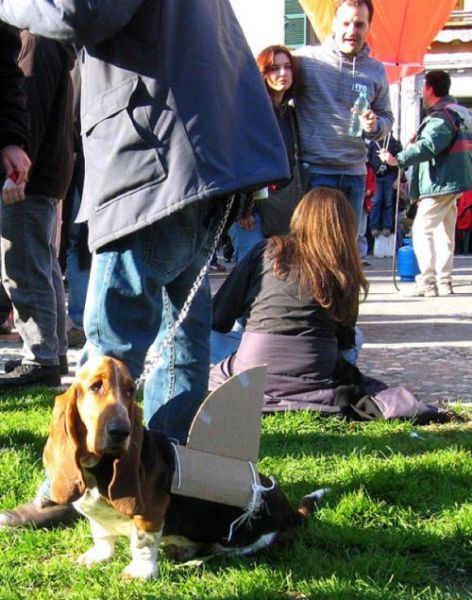 Daily picdump (135 pics)