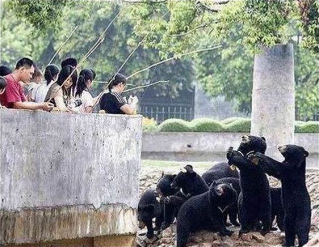 Daily picdump (135 pics)