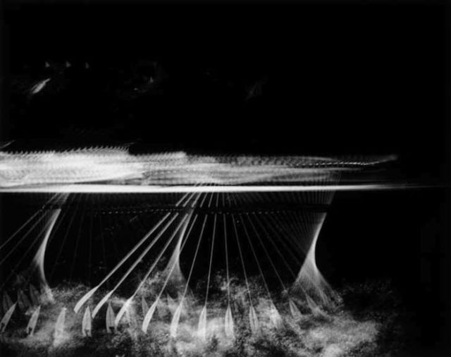 Amazing Motion Photos (20 pics)