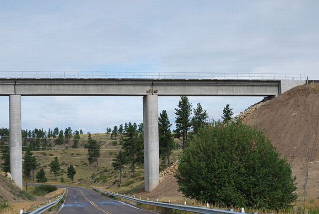 Unusual Bridge Passersby (3 pics)