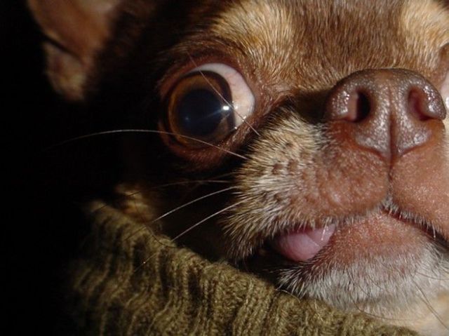 Daily picdump (126 pics)