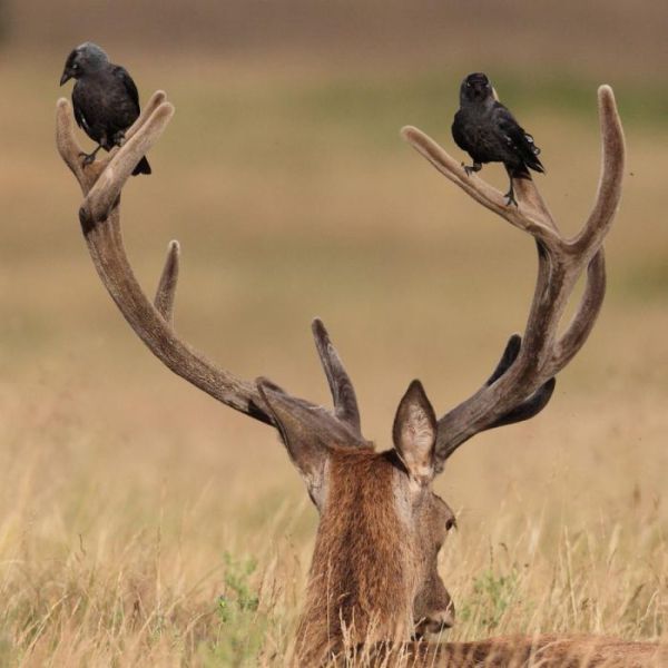 Daily picdump (126 pics)