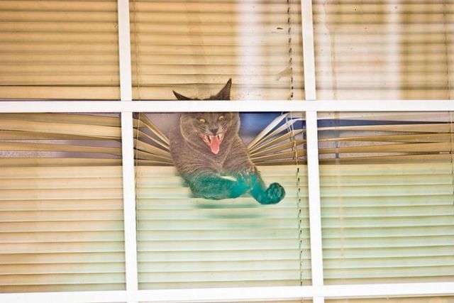 Daily picdump (126 pics)