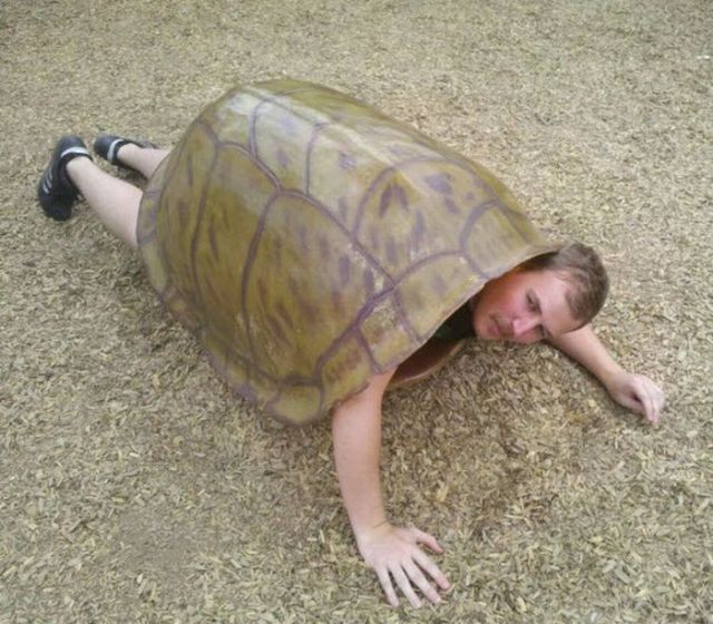 Daily picdump (126 pics)