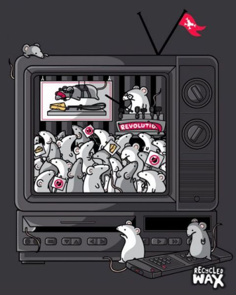 Daily picdump (126 pics)