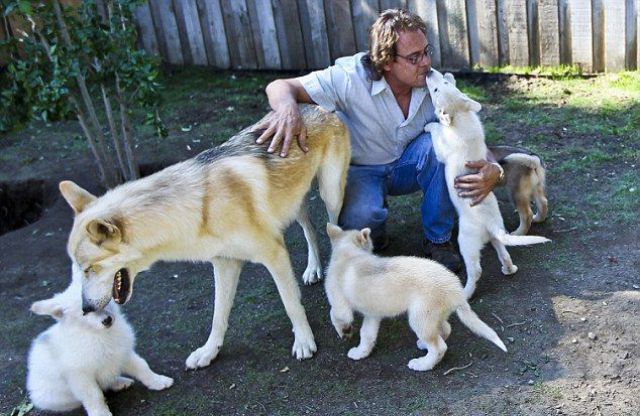 Daily picdump (126 pics)