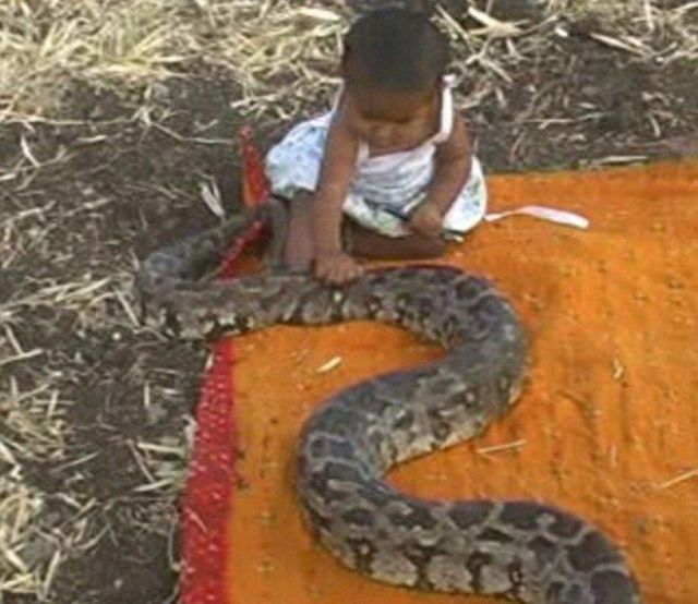 Daily picdump (126 pics)