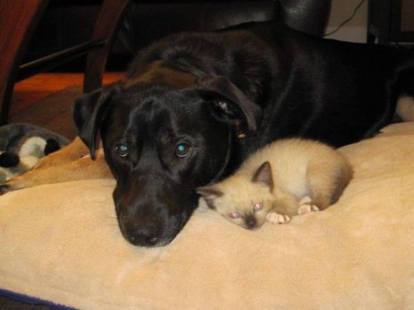 Daily picdump (126 pics)