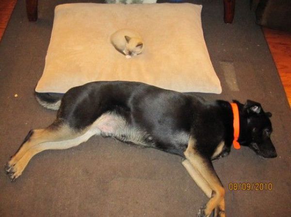 Daily picdump (126 pics)