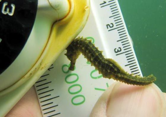 Daily picdump (126 pics)