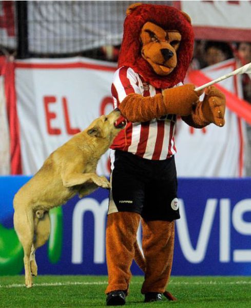 Daily picdump (126 pics)