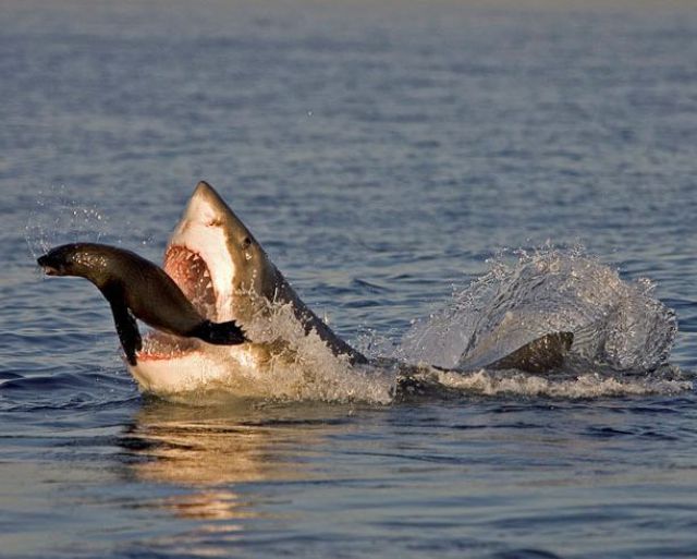 Daily picdump (126 pics)