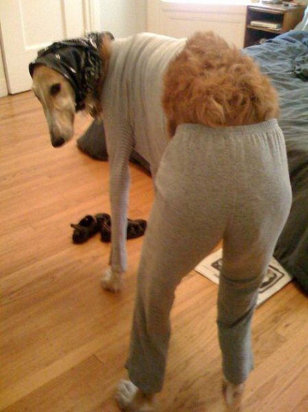 Daily picdump (126 pics)