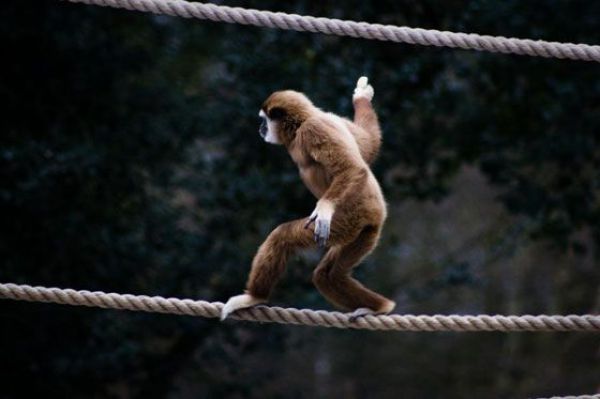 Daily picdump (126 pics)