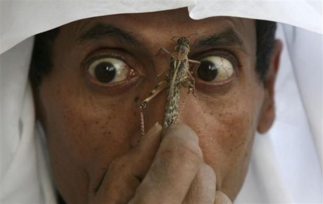 Daily picdump (126 pics)