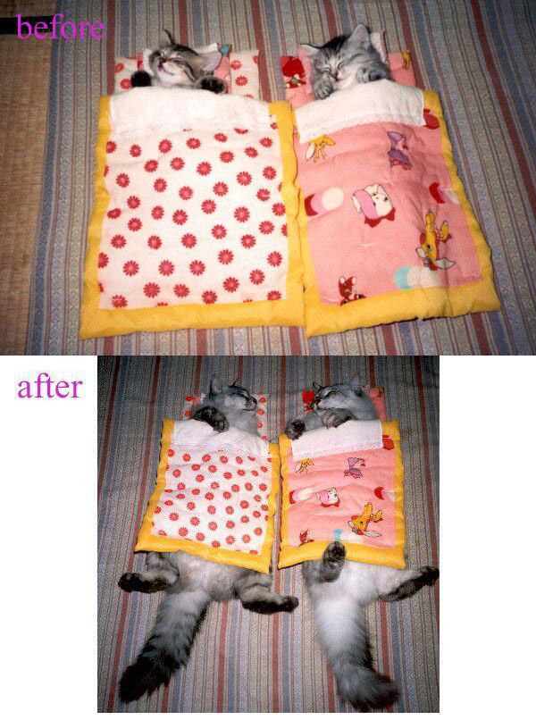 Daily picdump (126 pics)