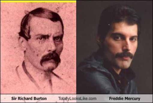 Funny Look Alikes. Part 3 (57 pics)