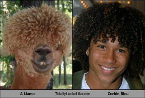 Funny Look Alikes. Part 3 (57 pics)