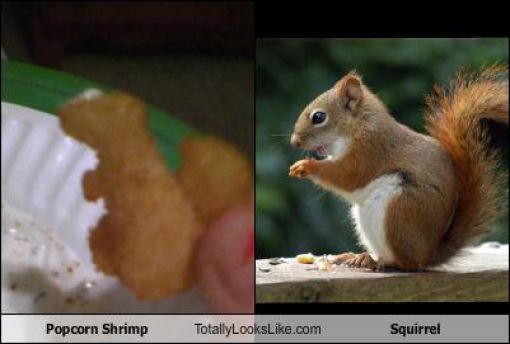 Funny Look Alikes. Part 3 (57 pics)