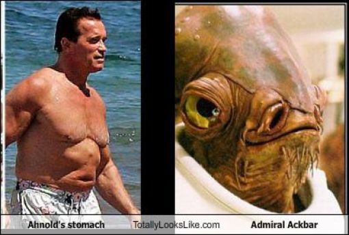 Funny Look Alikes. Part 3 (57 pics)