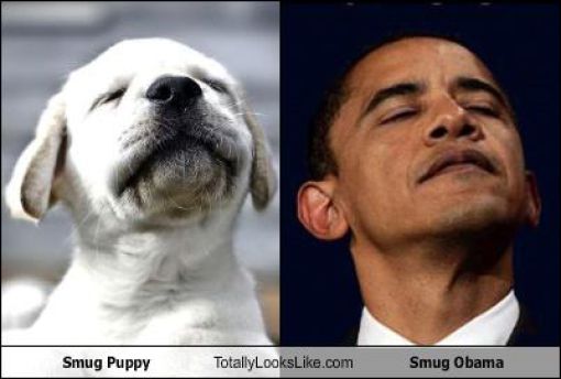 Funny Look Alikes. Part 3 (57 pics)