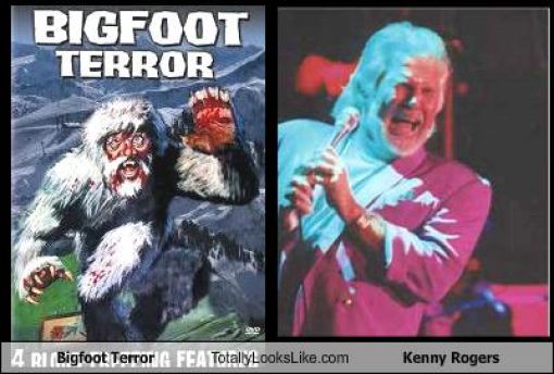 Funny Look Alikes. Part 3 (57 pics)