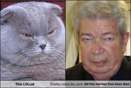 Funny Look Alikes. Part 3 (57 pics)