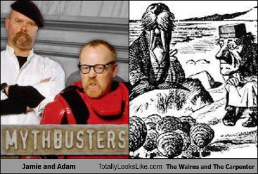 Funny Look Alikes. Part 3 (57 pics)